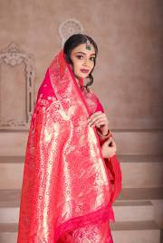 Np Saree  DN 9746A TO 9746D